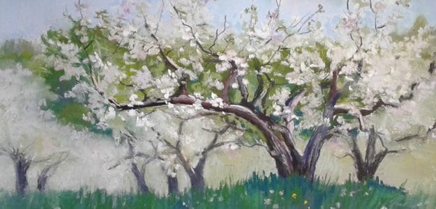 JC Meierhofer Pastels